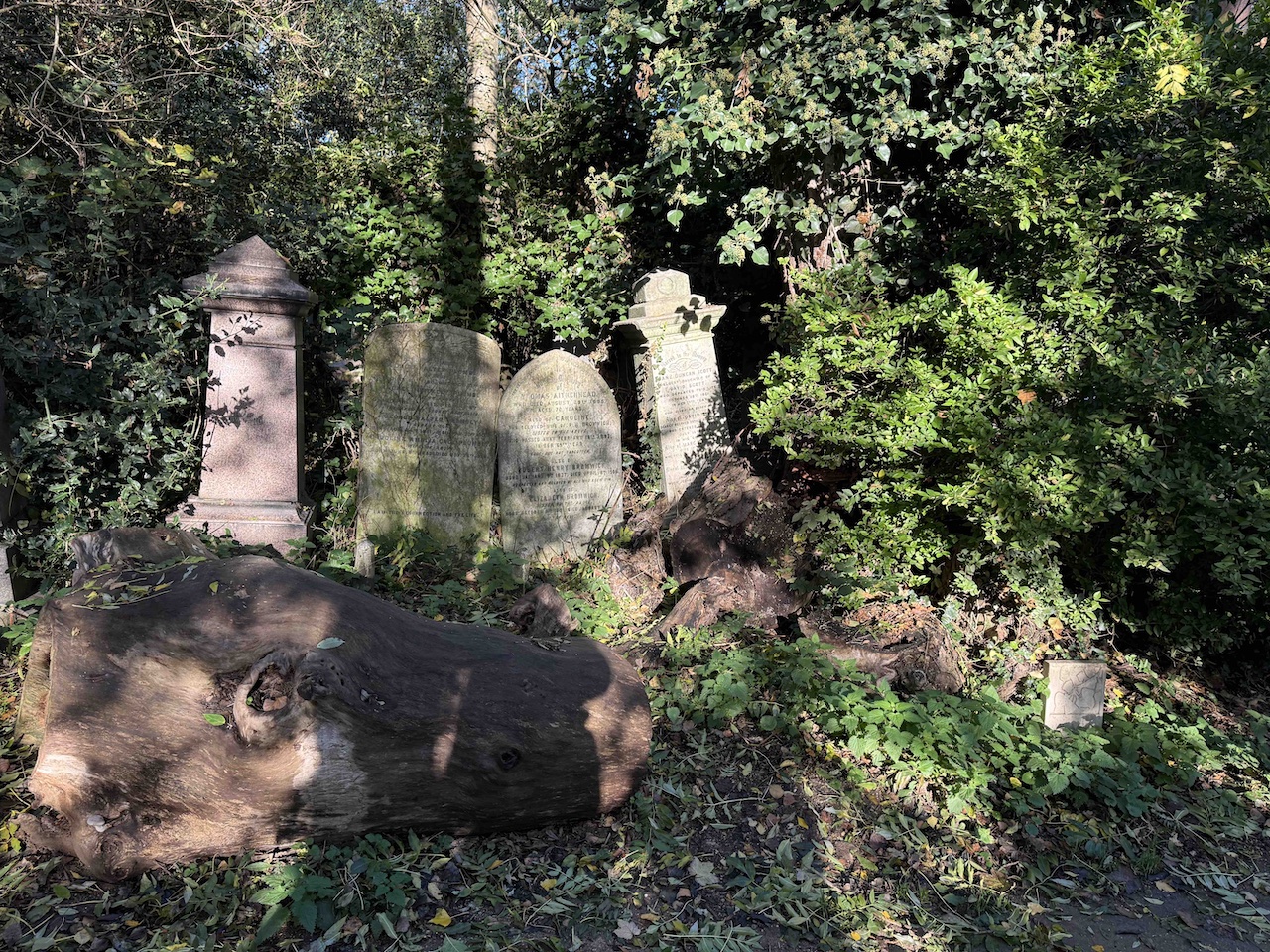 AbneyPark log and graves_reduced
